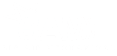BAM logo white
